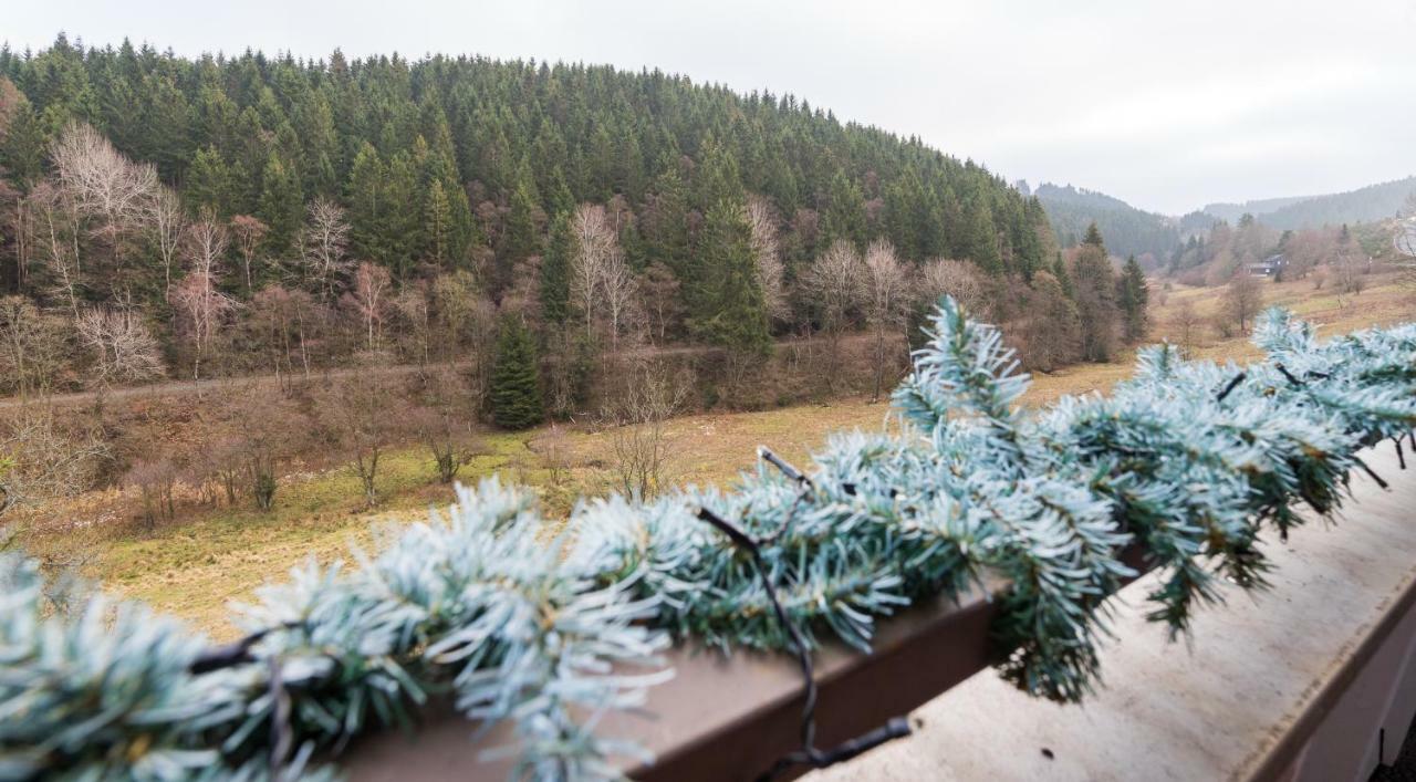 Apartmán Waldloft Winterberg Exteriér fotografie